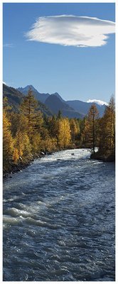 Torrente Val Ferret - Courmayeur