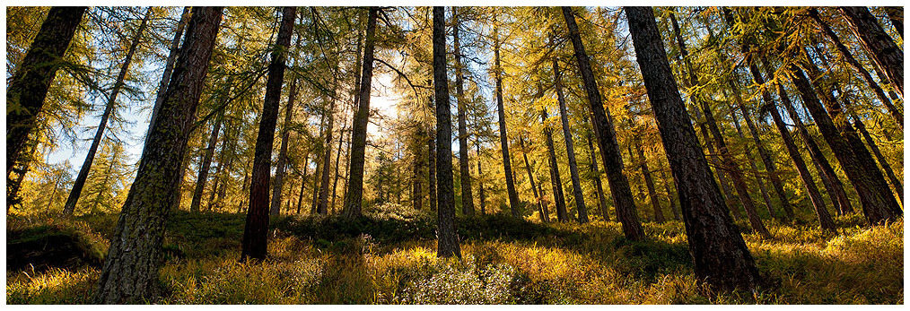 Autunno - Valle d'Aosta