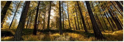 Autunno - Valle d'Aosta