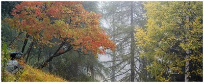 Poesia autunnale