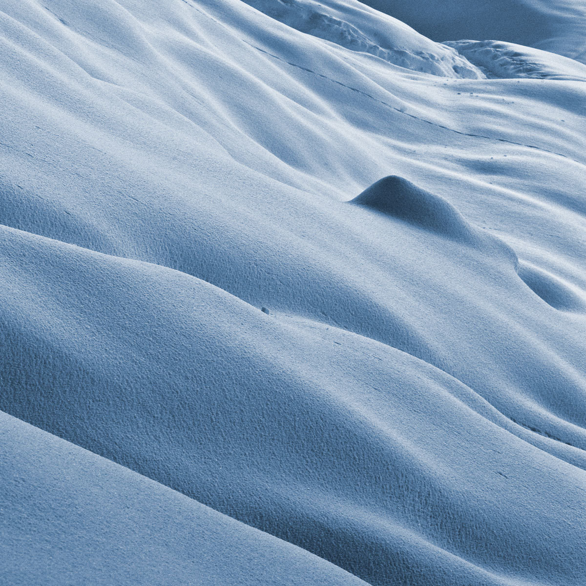 Dunes of snow