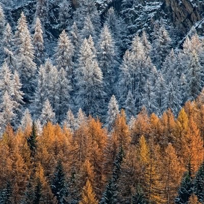 Autunno