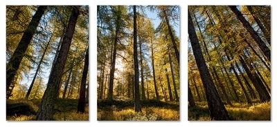 Il tuo trittico su tela pittorica / formato 80x35cm