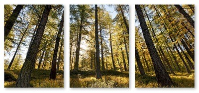 Autunno in Valle d&#39;Aosta