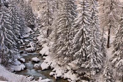 Torrente Ferret - Courmayeur - neve