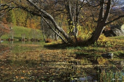 Lago Loz - Valtournenche