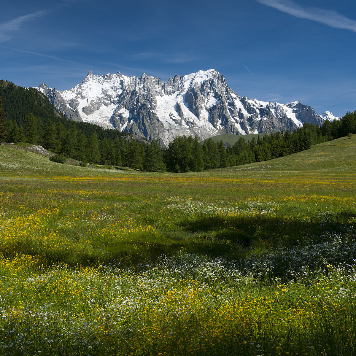 Petosan - La-Thuile - Monte Bianco