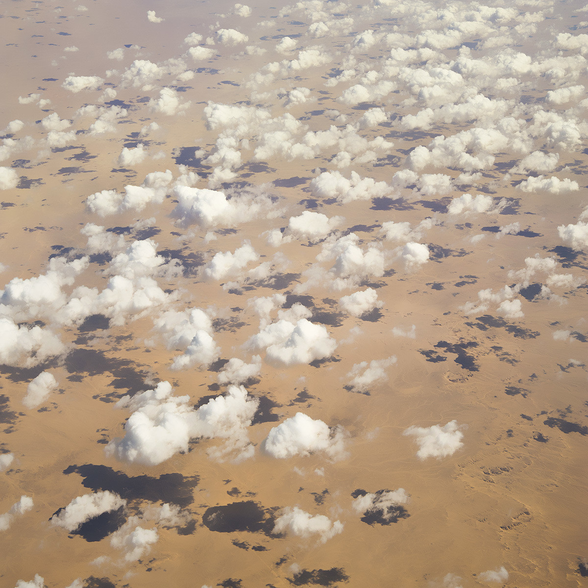 Sahara desert