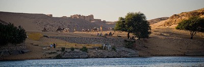 Egyptian Life
