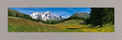 primavera a Petosan - La Thuile - Monte Bianco