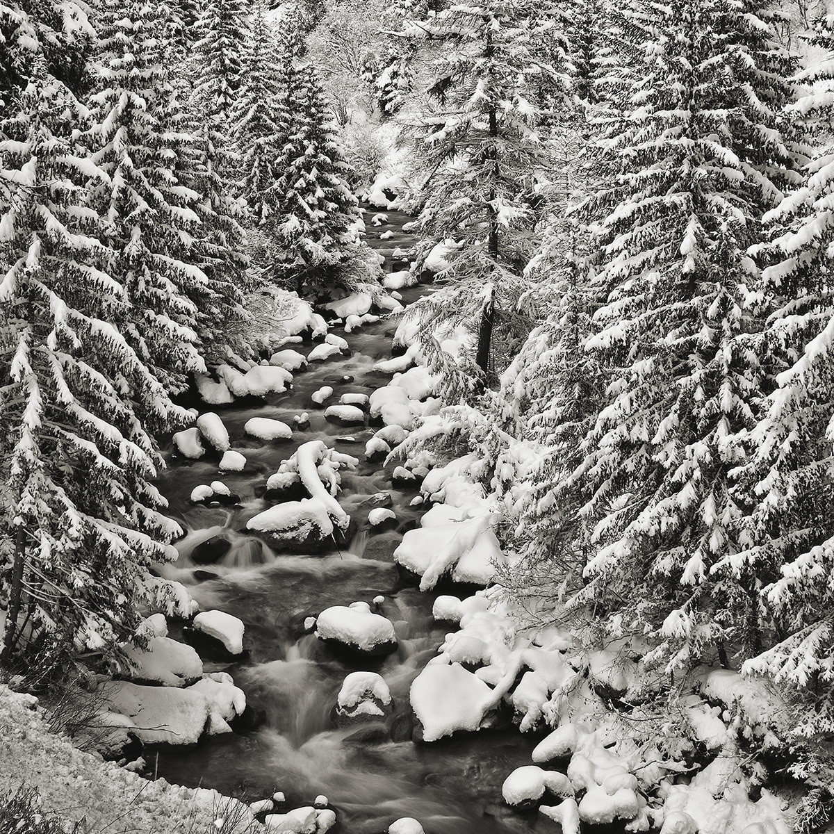 Torrente Ferret - Courmayeur