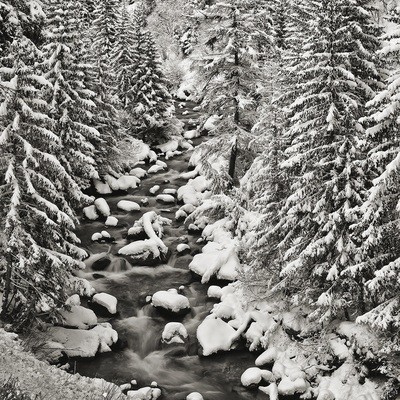 Torrente Ferret - Courmayeur