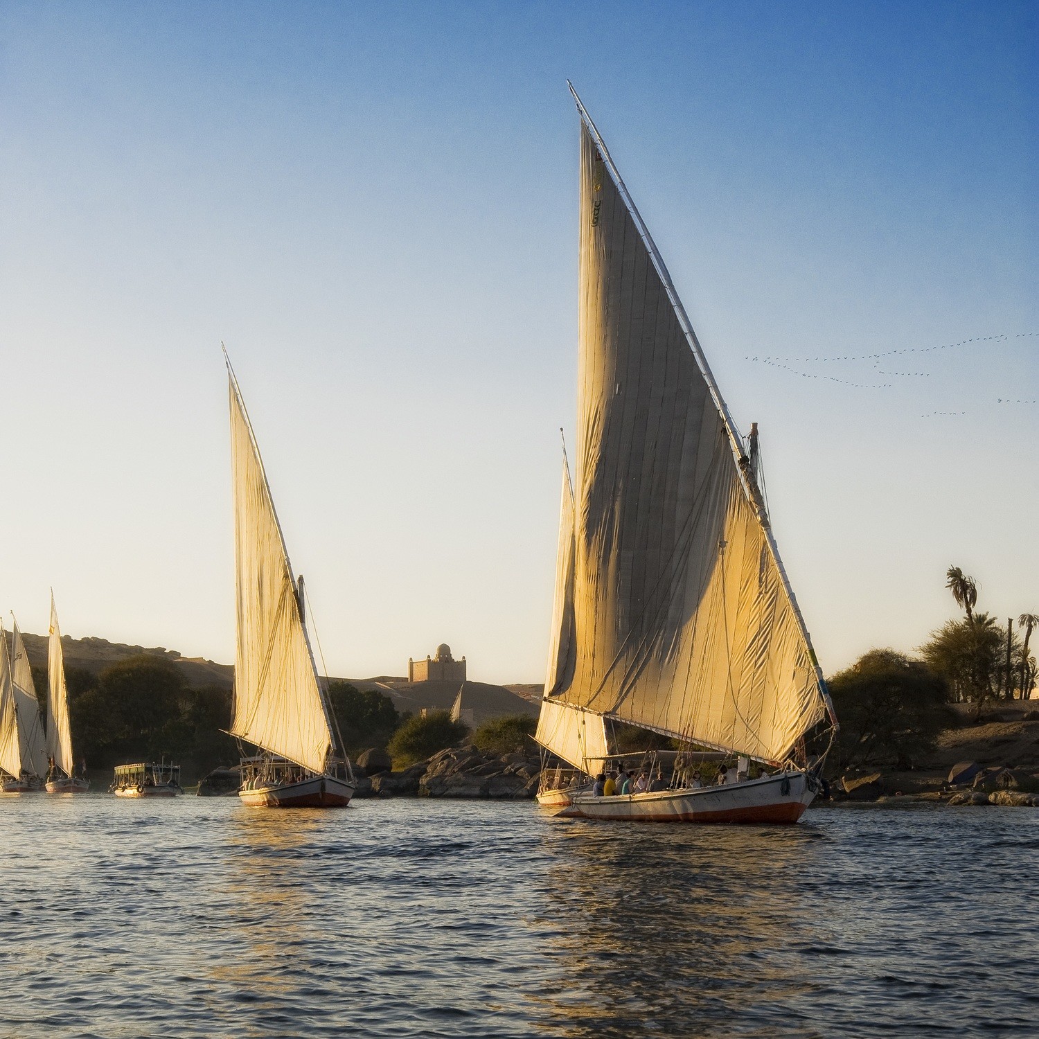 Aswan - feluche - Nilo - Egitto