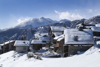 Chamois