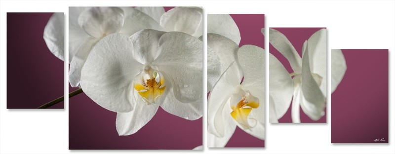 orchidea multiformato 5pezzi / 203x76 cm codice 028