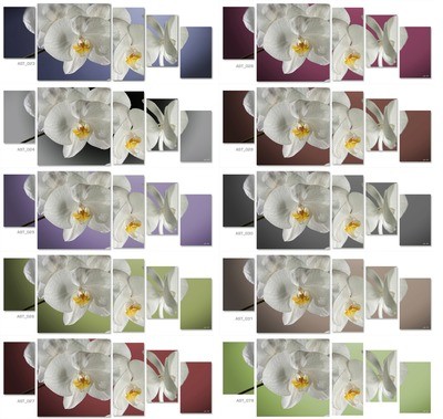 gamma colori completa