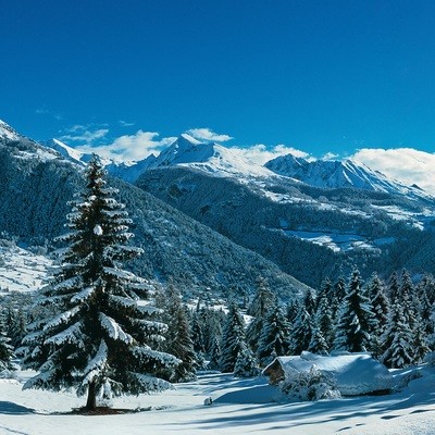 Paesaggio innevato
