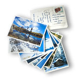 Cartoline