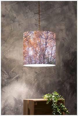 Lampshade of Nature / Aosta Valley