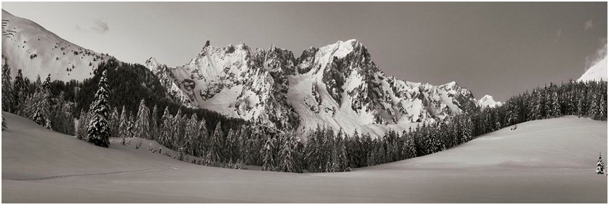 Petosan - Monte Bianco