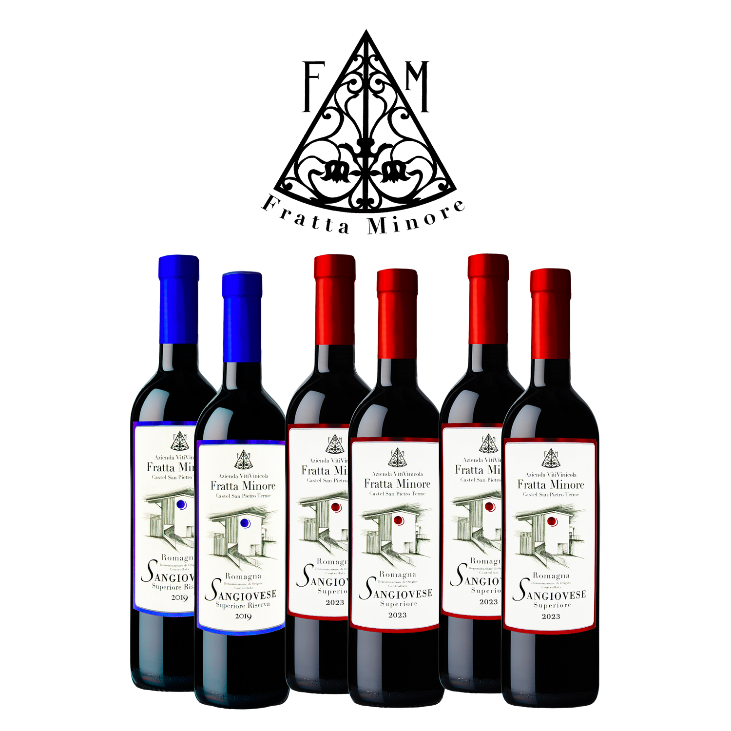 DEGUSTAZIONE TRADIZIONE SANGIOVESE