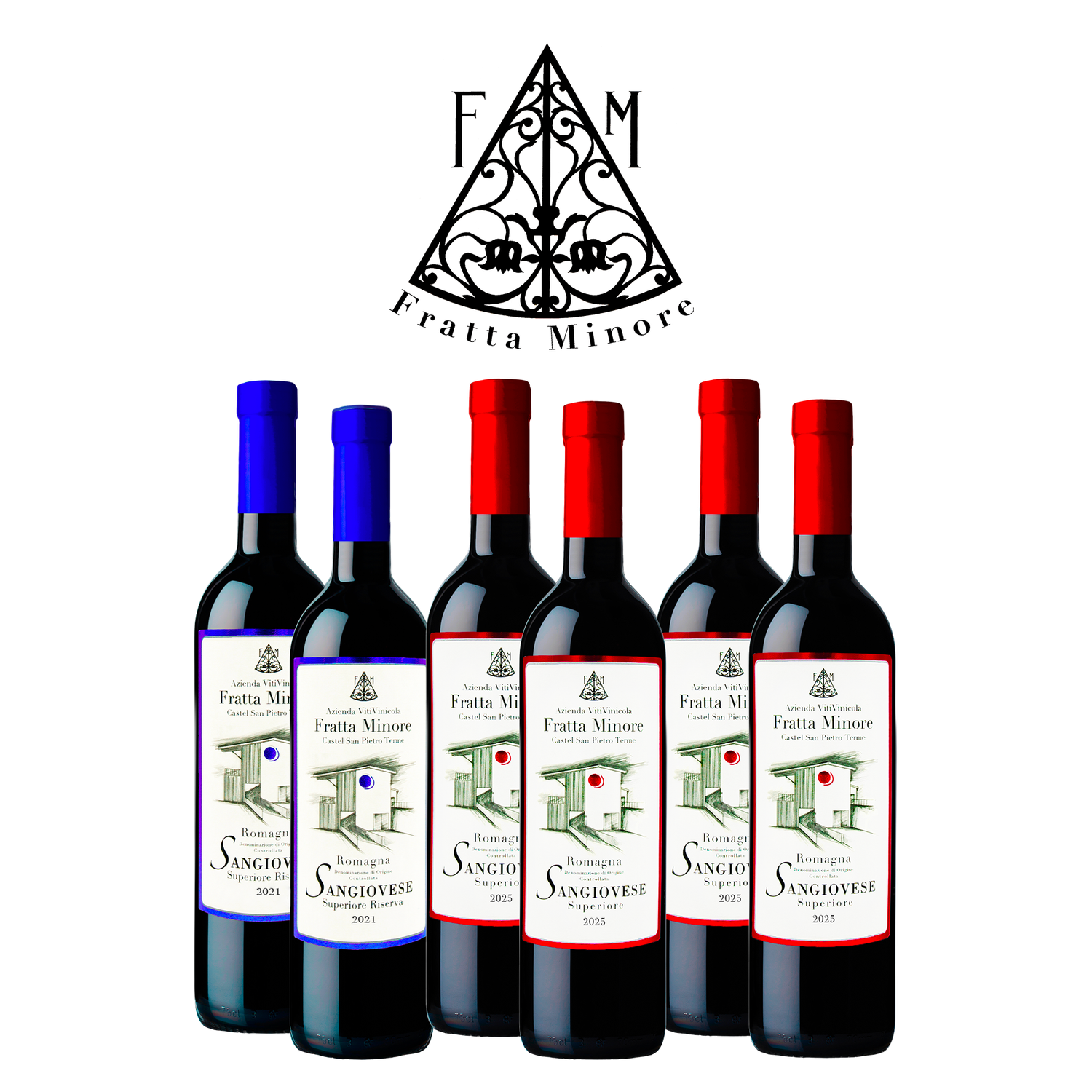 DEGUSTAZIONE TRADIZIONE SANGIOVESE