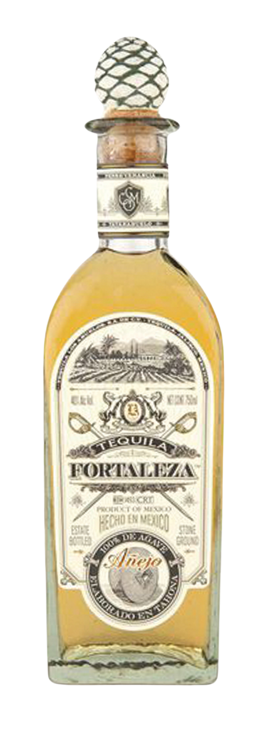 Fortaleza anjego