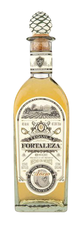 Fortaleza anjego