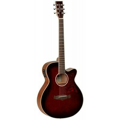 Tanglewood TW4 TW