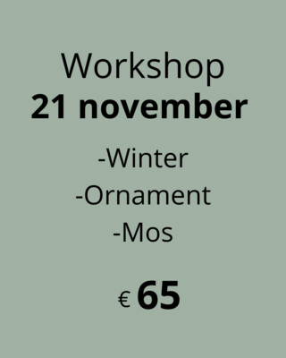 Workshop 21 november