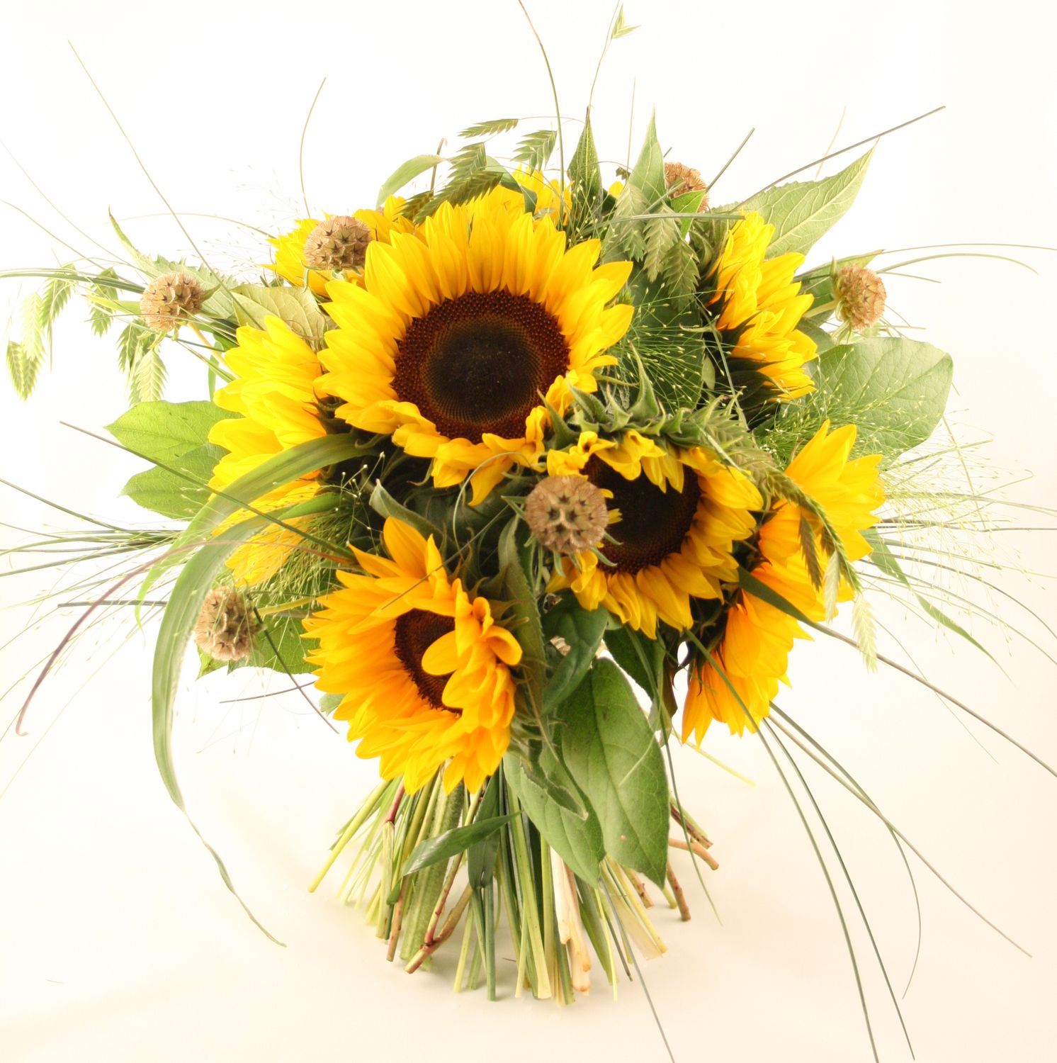 Zonnebloemen speels