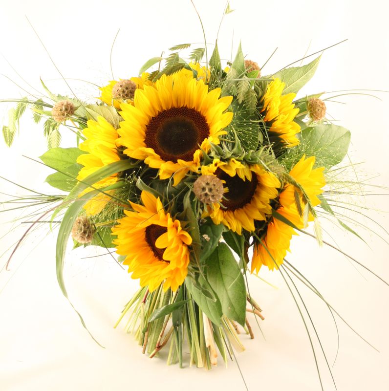 Zonnebloemen speels