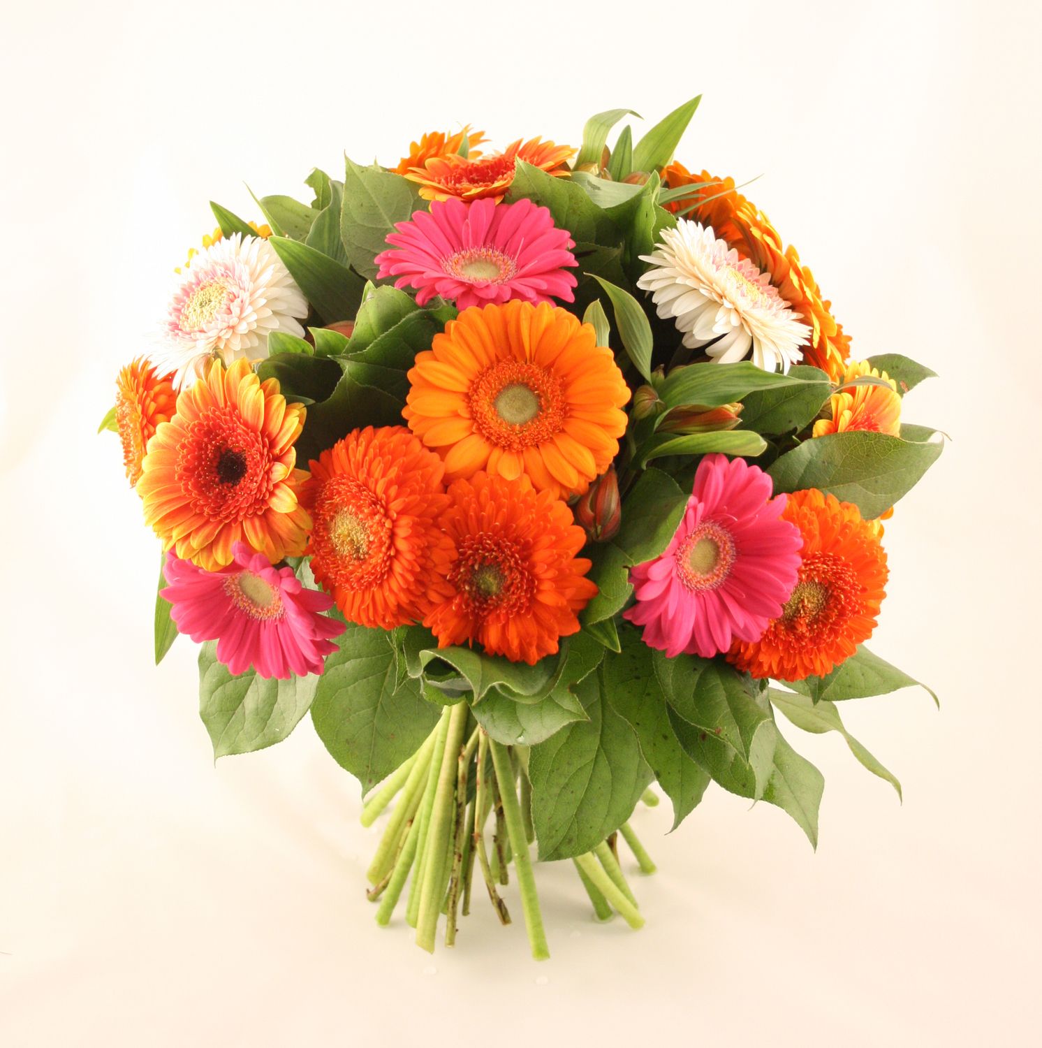 Boeket gerbera mix