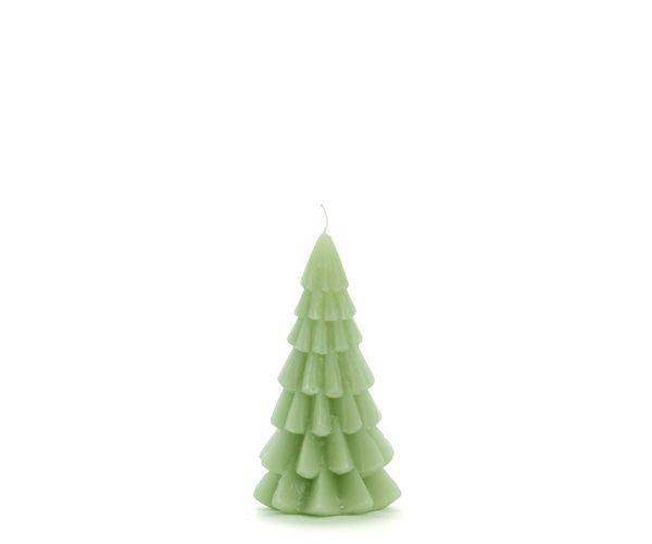 Kerstboom