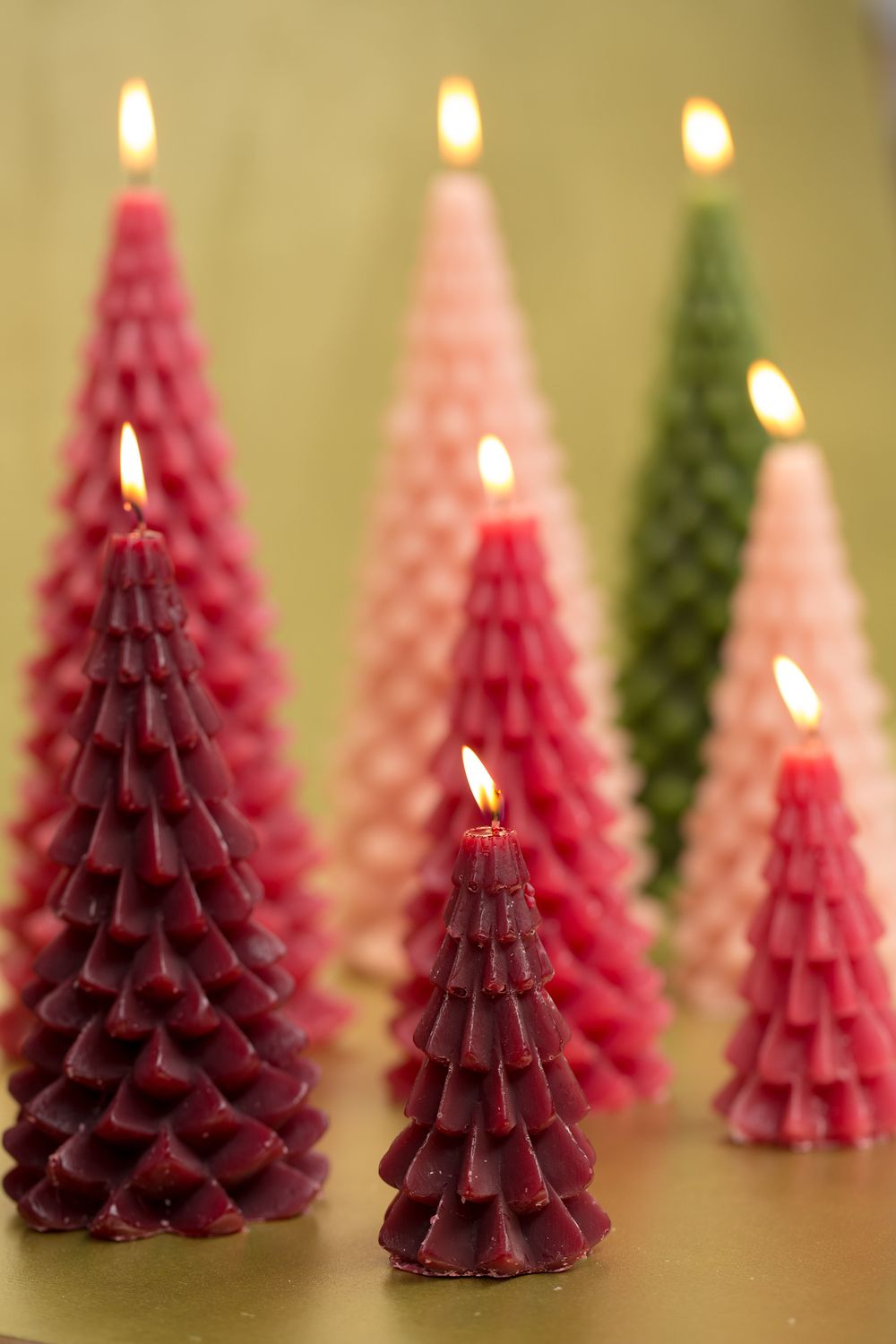 Kerstboom
