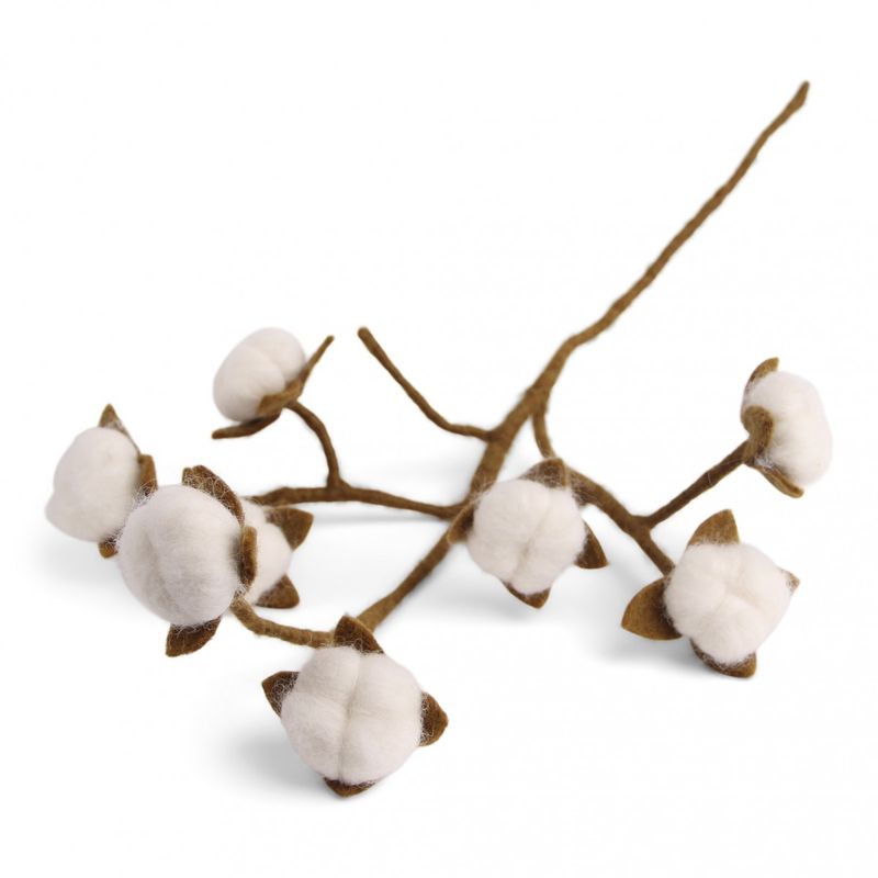 Cotton branch