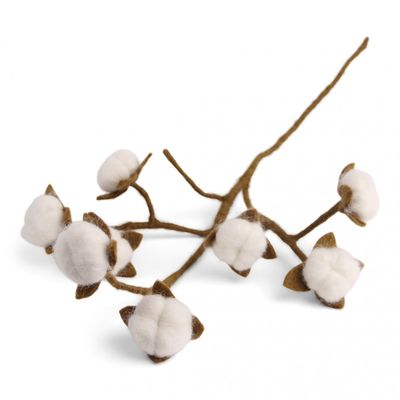 Cotton branch