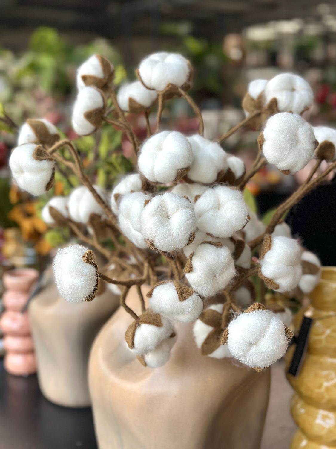 Cotton branch