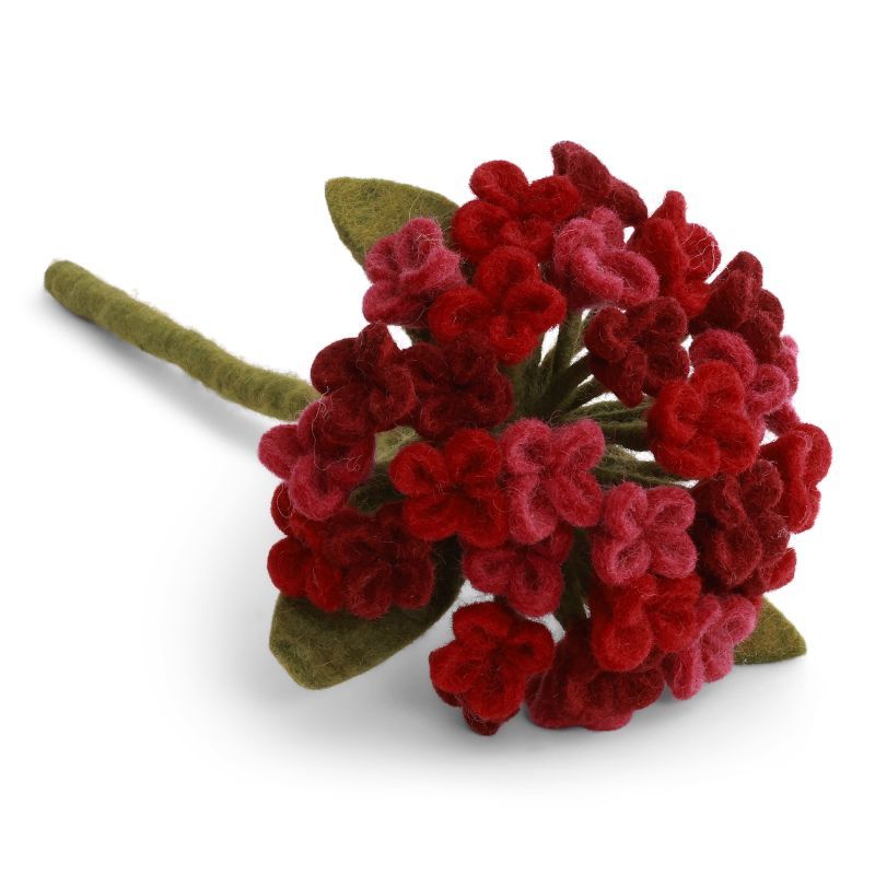 Hortensia