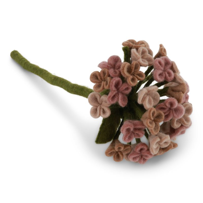 Hortensia