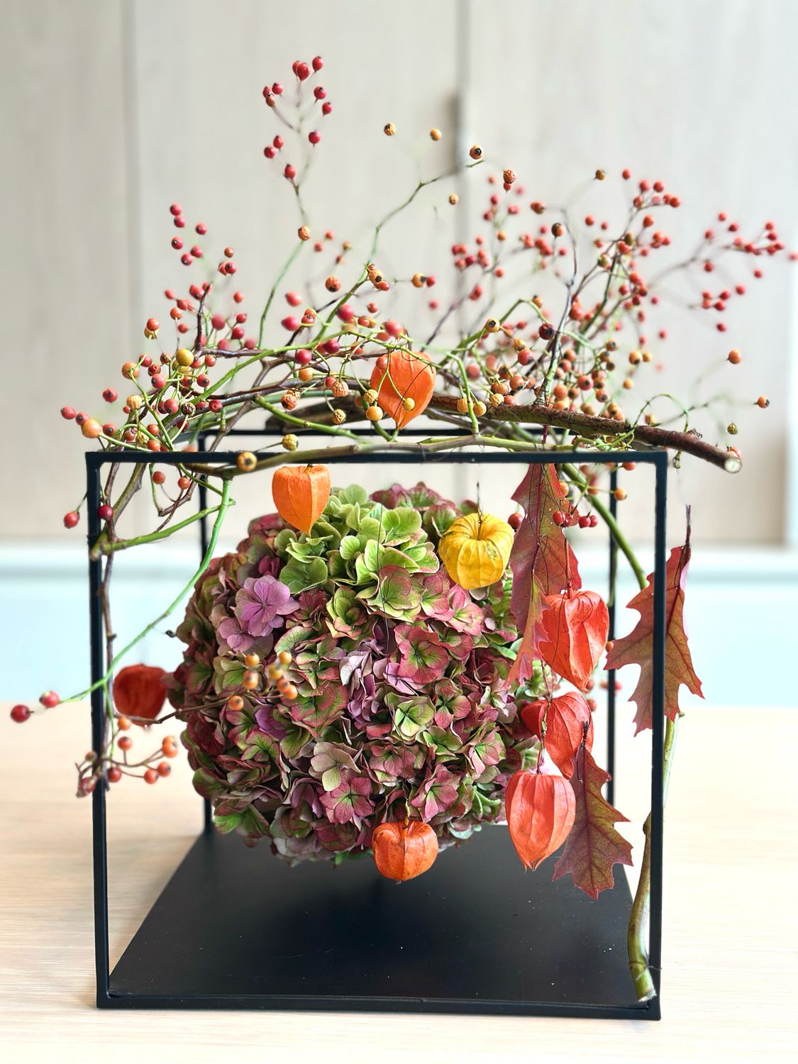 DIY Hortensia kader pakket