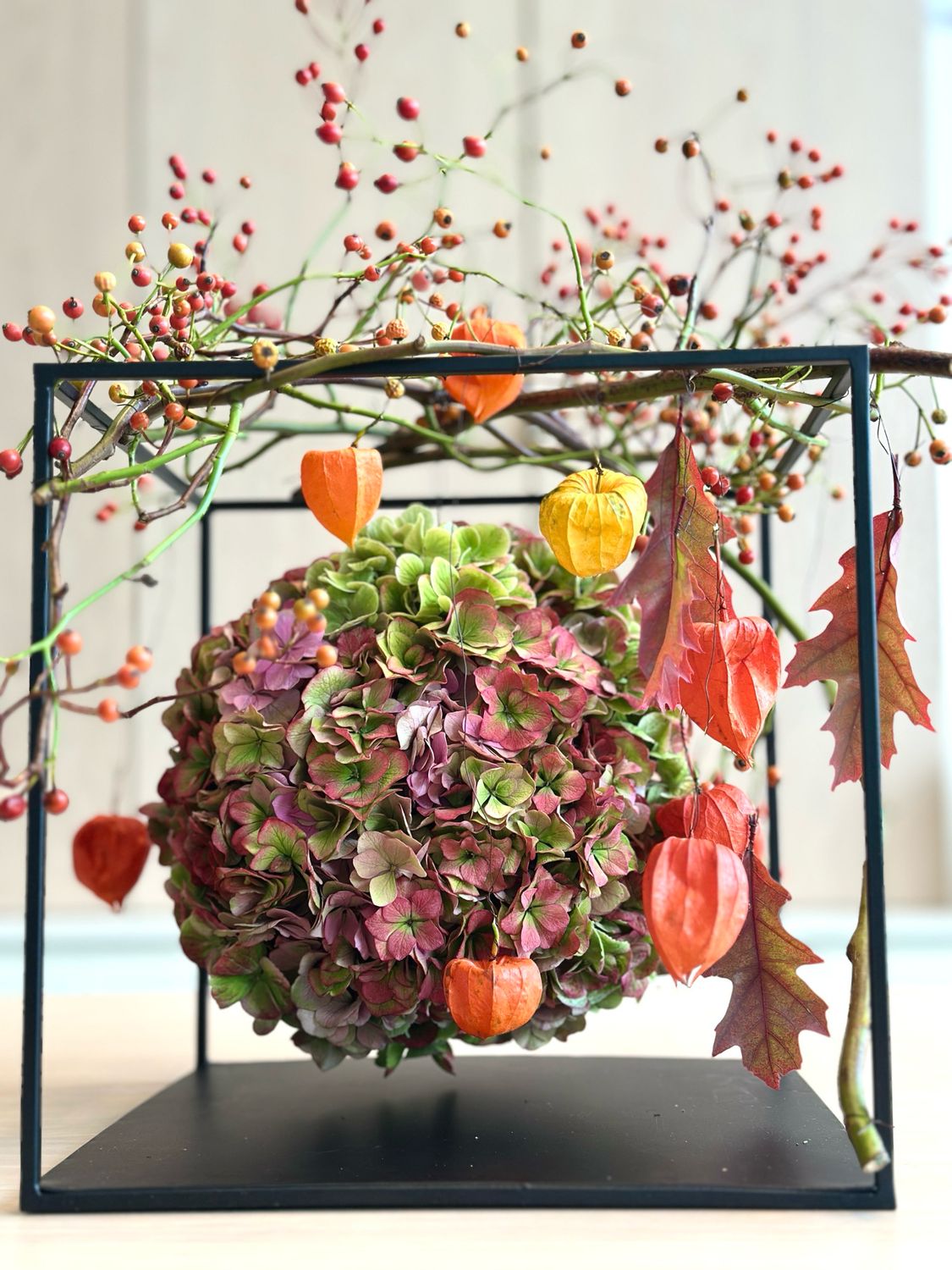 DIY Hortensia kader pakket