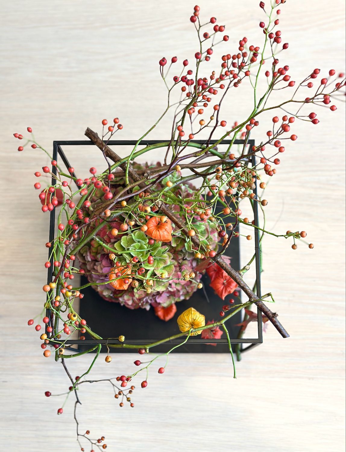 DIY Hortensia kader pakket