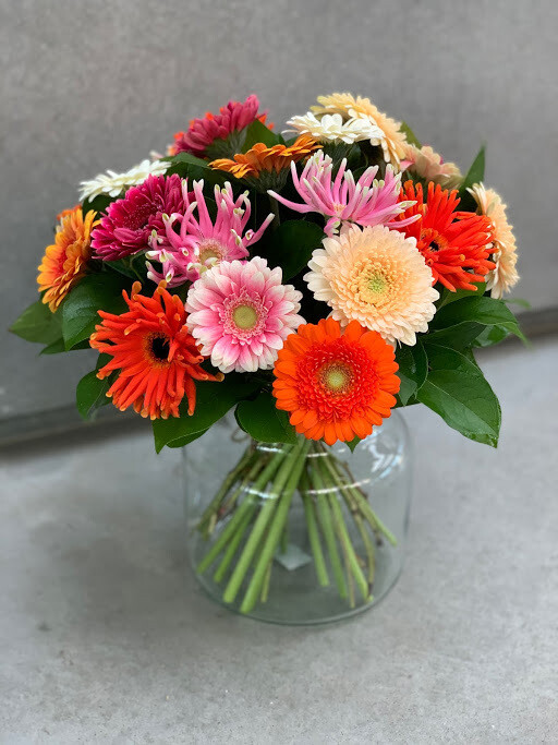 Gerbera mix kleuren