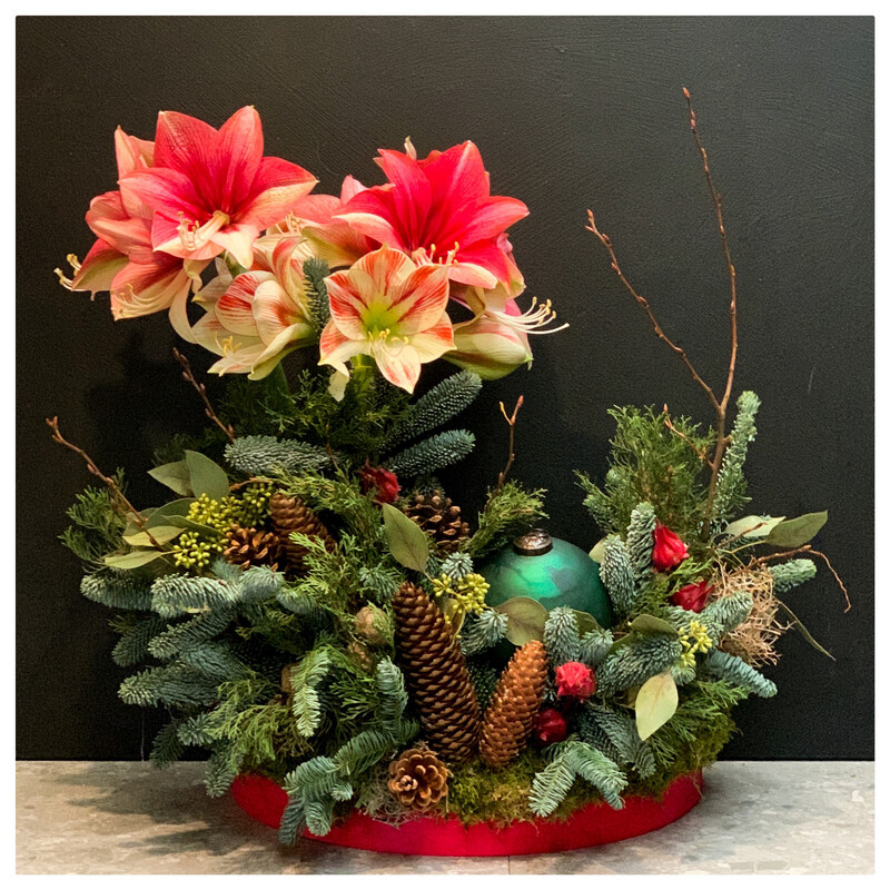 Workshop Kerststuk amaryllis