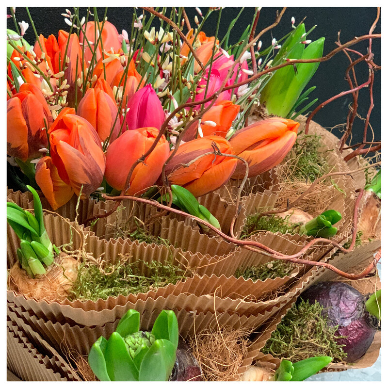 Workshop Ontluikende Lente