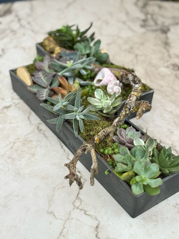WORKSHOP Little Garden