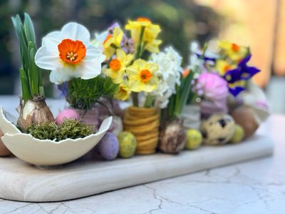 Workshop PASEN (2 april 2026)