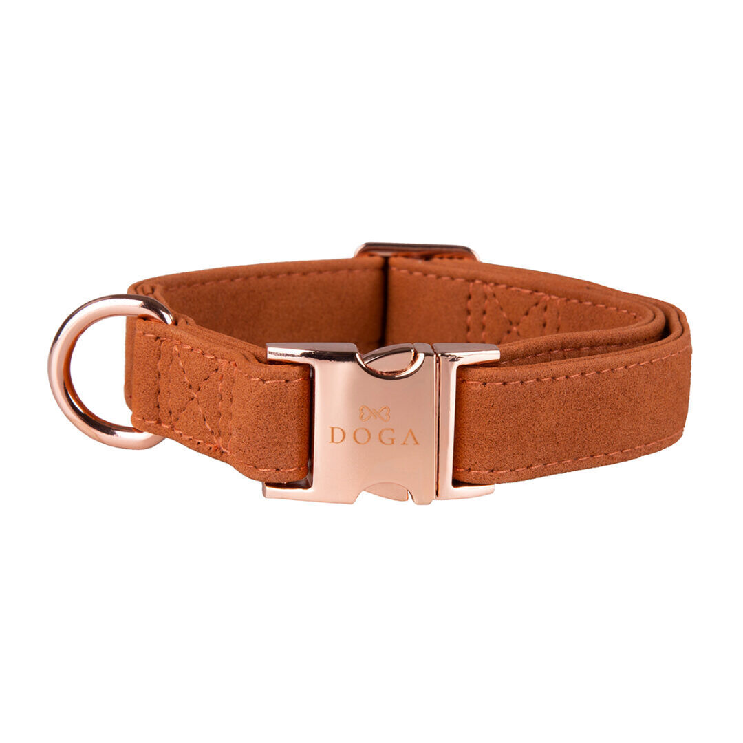 Hondenhalsband Cognac met Rosé goud