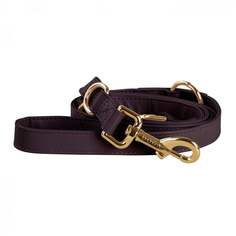 Hondenleiband Bruin met Goud